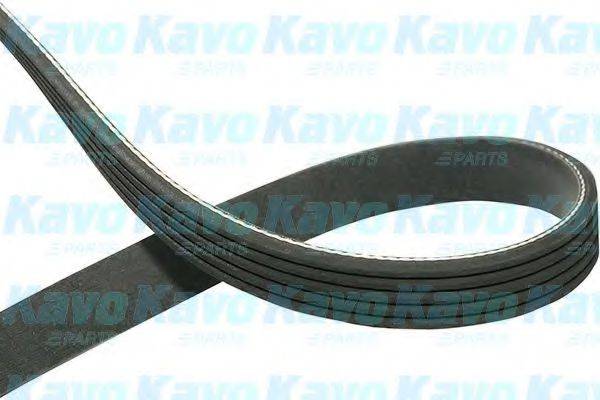 KAVO PARTS DMV4510 Полікліновий ремінь