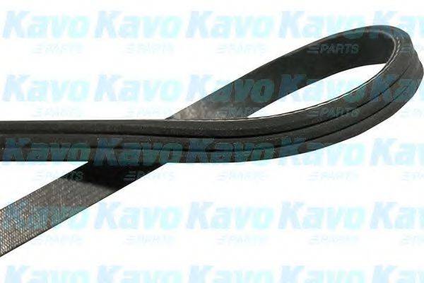 KAVO PARTS DMV-4530