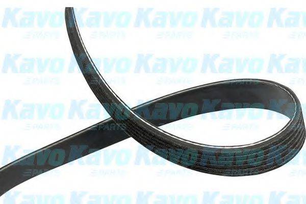 KAVO PARTS DMV-4538