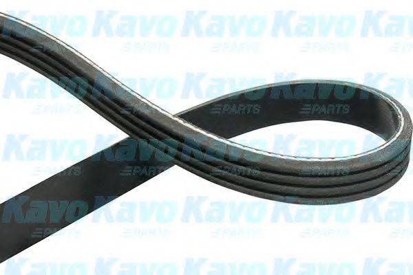 KAVO PARTS DMV8511 Полікліновий ремінь