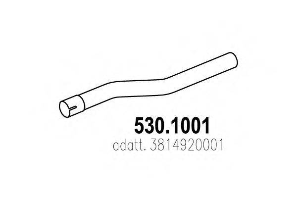 ASSO 530.1001