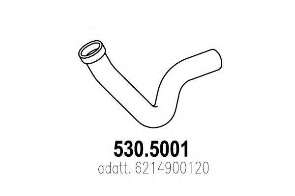 ASSO 530.5001