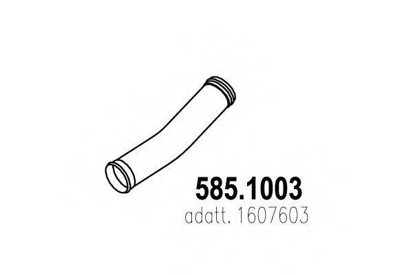 ASSO 585.1003