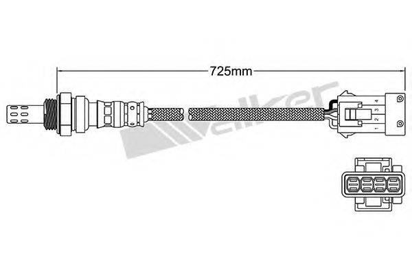 WALKER PRODUCTS 25024842 Лямбда-зонд