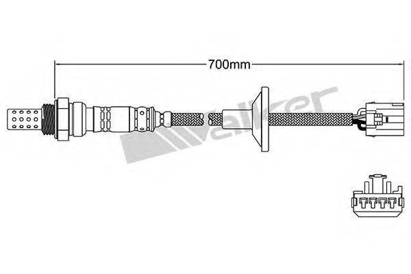 WALKER PRODUCTS 250-24918