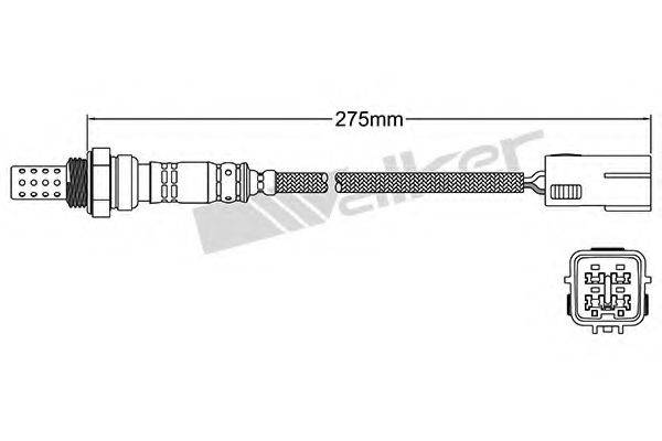 WALKER PRODUCTS 250-24325