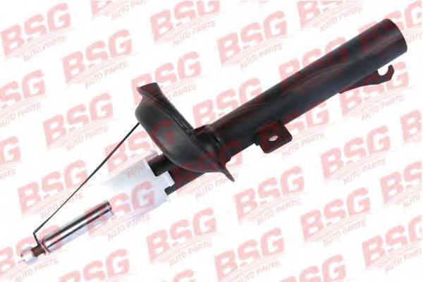BSG BSG 30-300-020