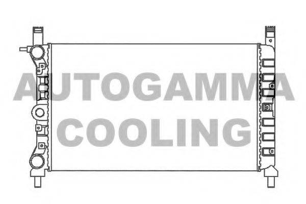 AUTOGAMMA 100288 Радіатор, охолодження двигуна