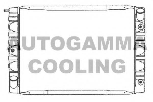 AUTOGAMMA 101113 Радіатор, охолодження двигуна