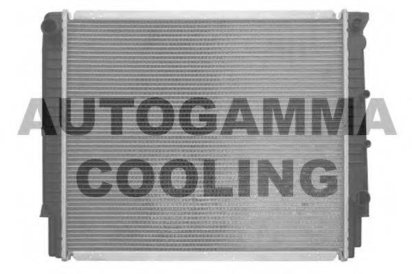 AUTOGAMMA 103256 Радіатор, охолодження двигуна