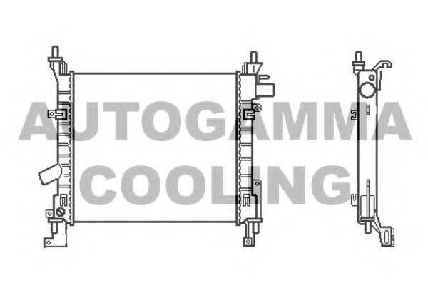 AUTOGAMMA 103429 Радіатор, охолодження двигуна
