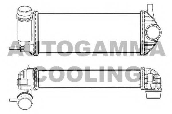 AUTOGAMMA 107525 Інтеркулер