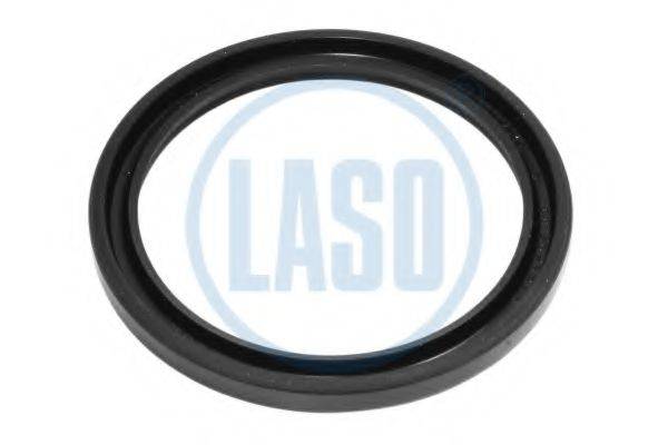LASO D06504029