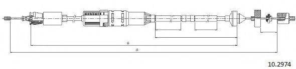 CABOR 10.2974