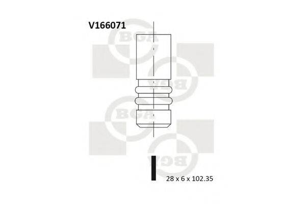 BGA V166071