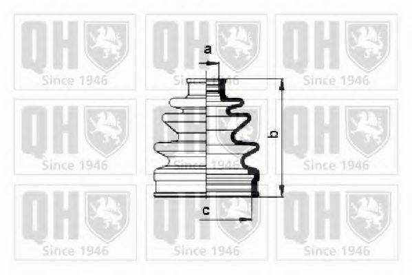 QUINTON HAZELL QJB861