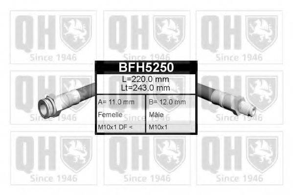 QUINTON HAZELL BFH5250 Гальмівний шланг