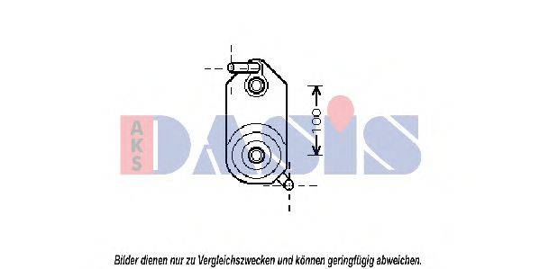 AKS DASIS VW3110 Олійний радіатор, автоматична коробка передач